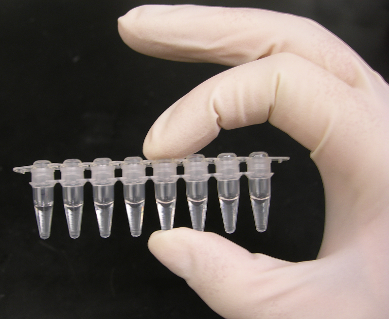 PCR Tubes