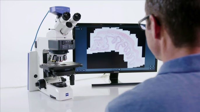 Transmitted light microscopes