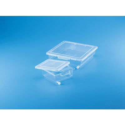 Staining Box-PP/PP-12.5cmx12.5cmx5cm