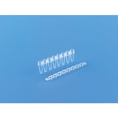 MAXIAMP™ PCR 8TUBE STRIP + CAP, CLEAR, FLAT-0.2 ml